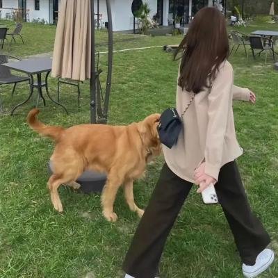 玩美舞娘